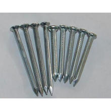 Hot Selling Different Sizes Concrete Nails 